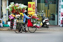 Hanoi - Vietnam