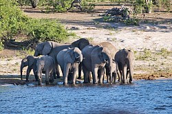 Okavango-Delta - Botswana