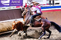 Rodeo - Puerto Varas