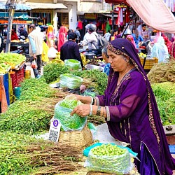 Marktfrau in Udaipur