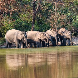 Corbett-Nationalpark