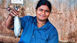 Fischmarkt in Goa